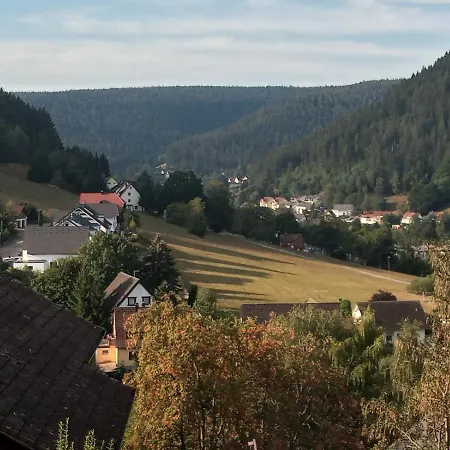 Waldblick Apartment